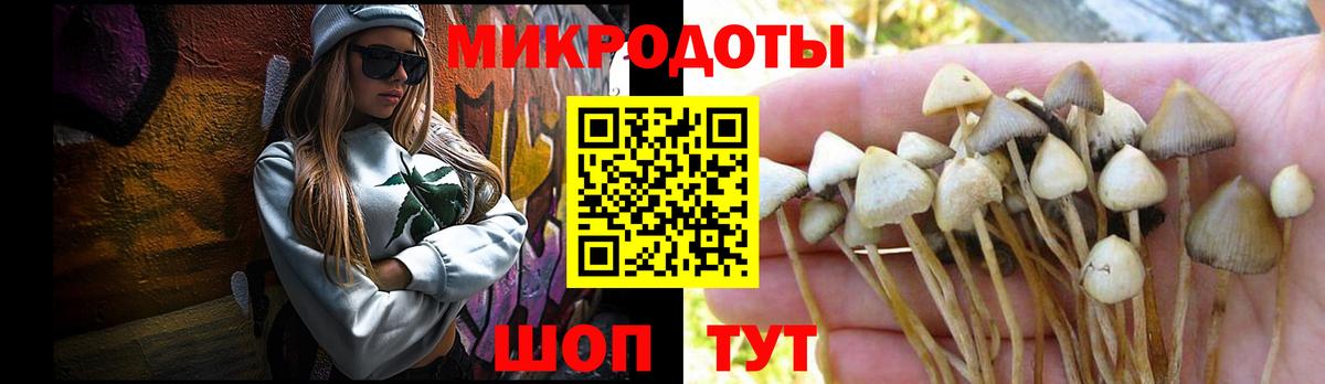 Псилоцибиновые грибы Cubensis Псков